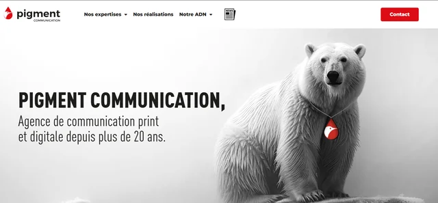 Héros du site Pigment Communication